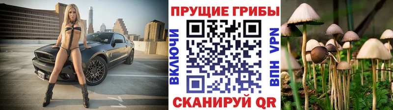 Псилоцибиновые грибы Psilocybine cubensis  Крым 